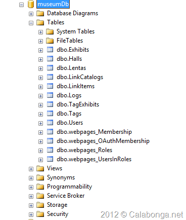 99-afterlogin-db-view