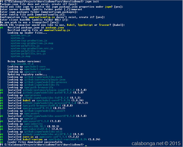 176-160-jspm-init